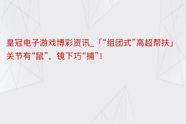 皇冠电子游戏博彩资讯_「“组团式”高超帮扶」关节有“鼠”，镜下巧“捕”！