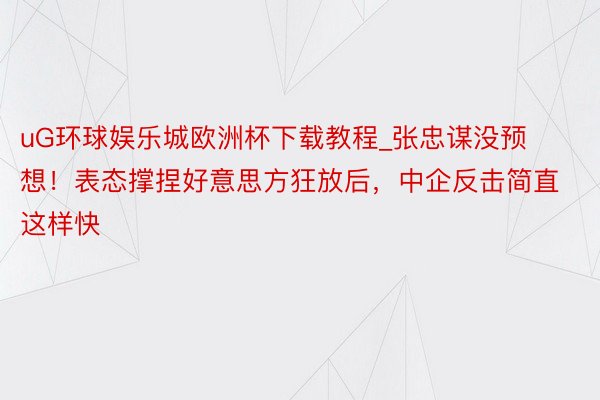 uG环球娱乐城欧洲杯下载教程_张忠谋没预想！表态撑捏好意思方狂放后，中企反击简直这样快