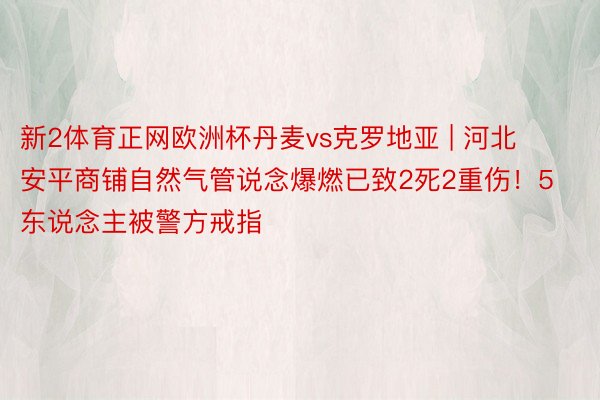 新2体育正网欧洲杯丹麦vs克罗地亚 | 河北安平商铺自然气管说念爆燃已致2死2重伤！5东说念主被警方戒指