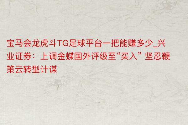 宝马会龙虎斗TG足球平台一把能赚多少_兴业证券：上调金蝶国外评级至“买入” 坚忍鞭策云转型计谋