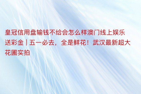 皇冠信用盘输钱不给会怎么样澳门线上娱乐送彩金 | 五一必去，全是鲜花！武汉最新超大花圃实拍