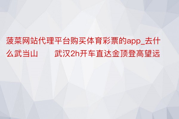 菠菜网站代理平台购买体育彩票的app_去什么武当山❗️武汉2h开车直达金顶登高望远